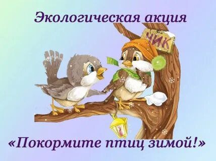 Экологическая акция "Покормите птиц зимой".
